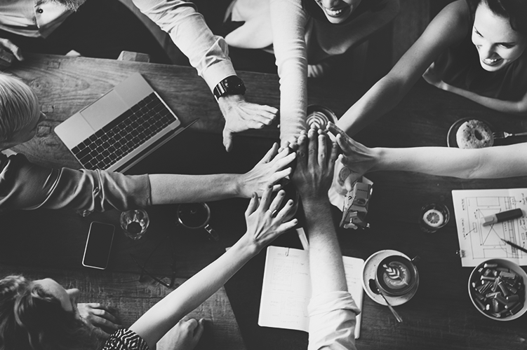 Learn more about our Strategic Human Resources Leadership certificate