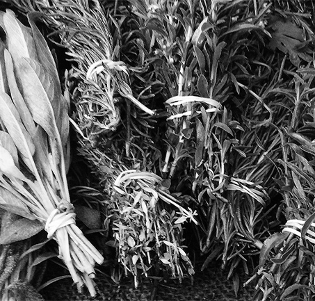 Learn more about our Food and Plant Science Certificates certificate programs